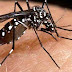 Venturosa na lista dos municípios com alto risco de epidemia de dengue