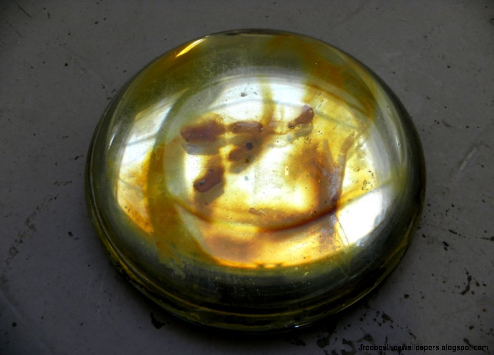 ana rosa hopkins transparent translucent distortive reflective