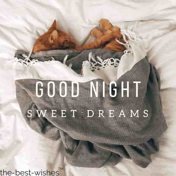 Best Good Night Images, Photos, Greetings and HD Pictures