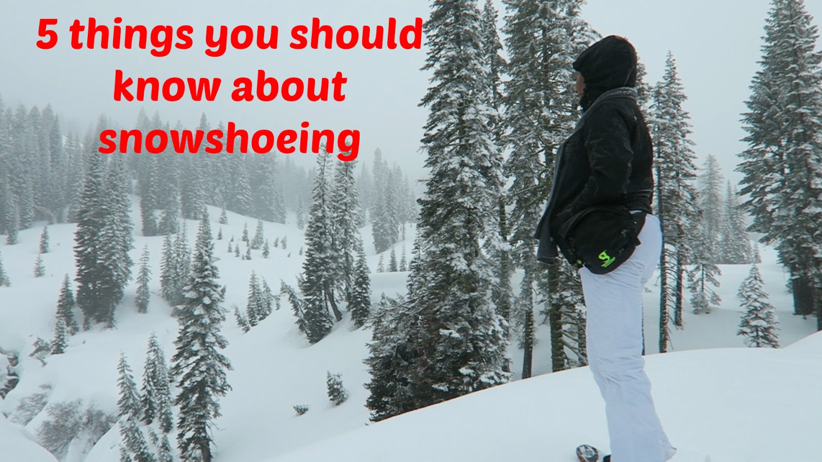 5 things you should know about snowshoeing The Daily Affair a