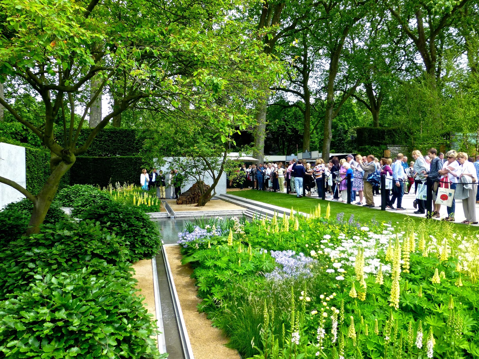 Chelsea Garden show 2014