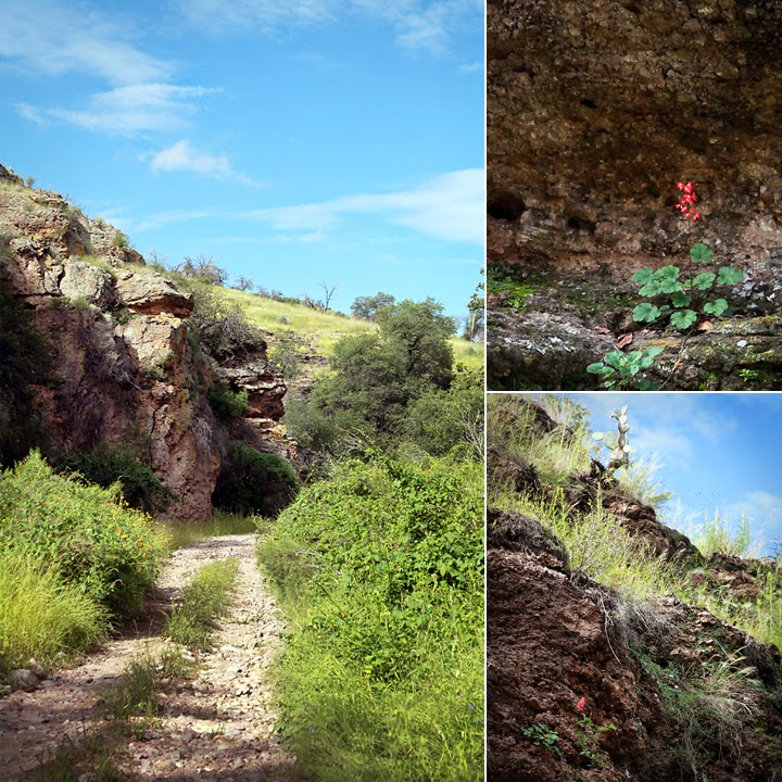 The Spaghetti Blog Pena Blanca Canyon Trail