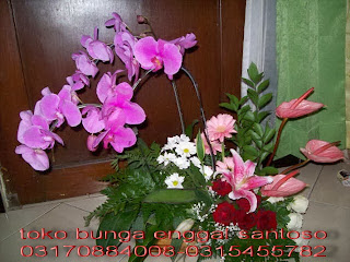 bunga meja ( bunga anggrek bulan) bunga meja ( bunga anggrek bulan) toko bunga surabaya, toko bunga online surabaya, toko bunga murah surabaya, karangan bunga surabaya, florist surabaya, florist di surabaya, florist surabaya murah, florist online surabaya