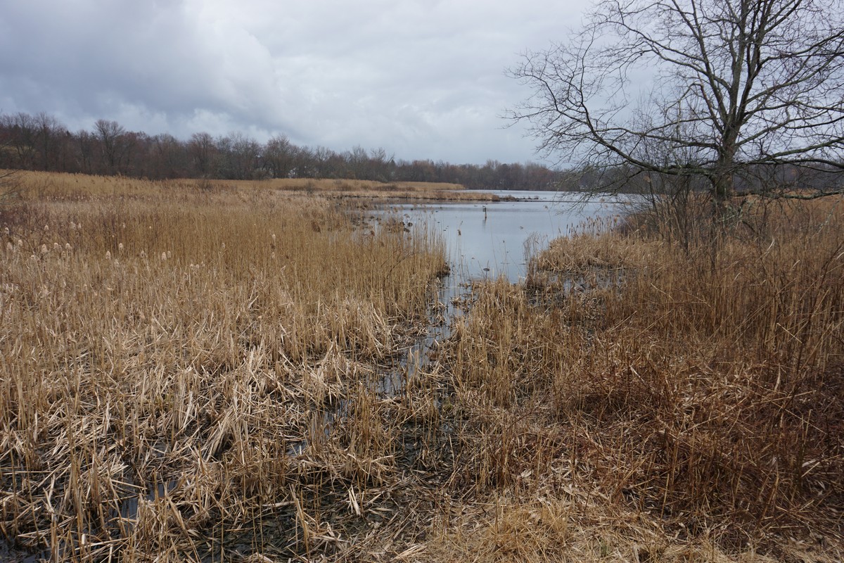 Harriman Hiker Harriman State Park and Beyond Celery Farm Loop