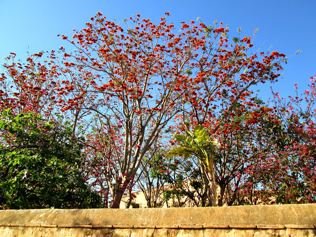 Parque de Marxalenes, abril 2014 - Paseos Fotográficos Valencia