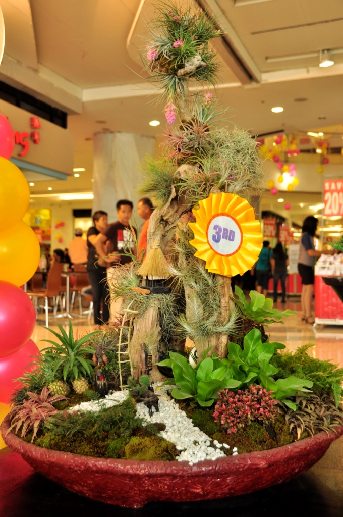 Dish Garden Designs at the 2nd Flora Mindanao at SM Davao Davao Delights