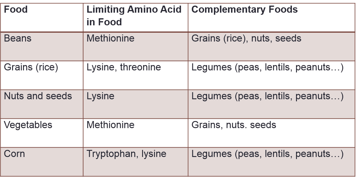 Nutrition Tuesday "Proteins Vegetarians and Omnivores"