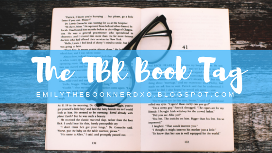The TBR Book Tag