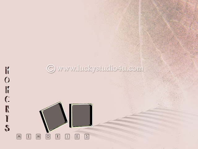 Wedding Album Background