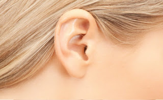 Indra Pendengar (Bagian, Fungsi, dan Macam-macam Kelainan ...