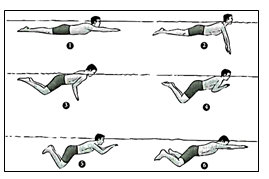Soal Dan Kunci Jawaban Pat Penjaskes Smp Kelas 8 Kurikulum 2013 Tahun Pelajaran 2018 2019 Didno76 Com