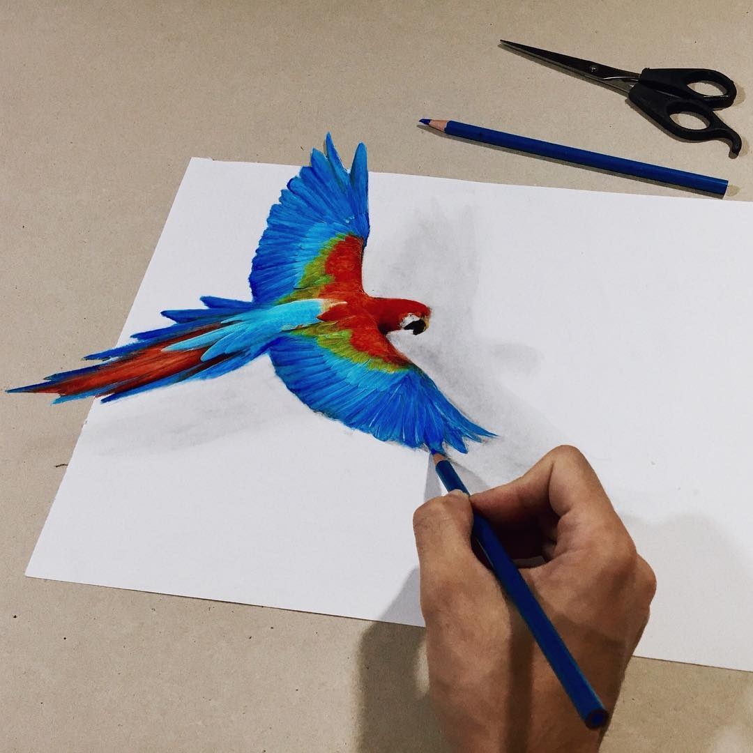 12-Liran-Vardiel-Animal-Drawings-using-Colored-Pencils-www-designstack-co