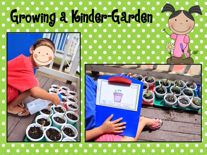 Mrs. Ricca's Kindergarten: Growing a Kinder-Garden: Plants Unit Freebies!