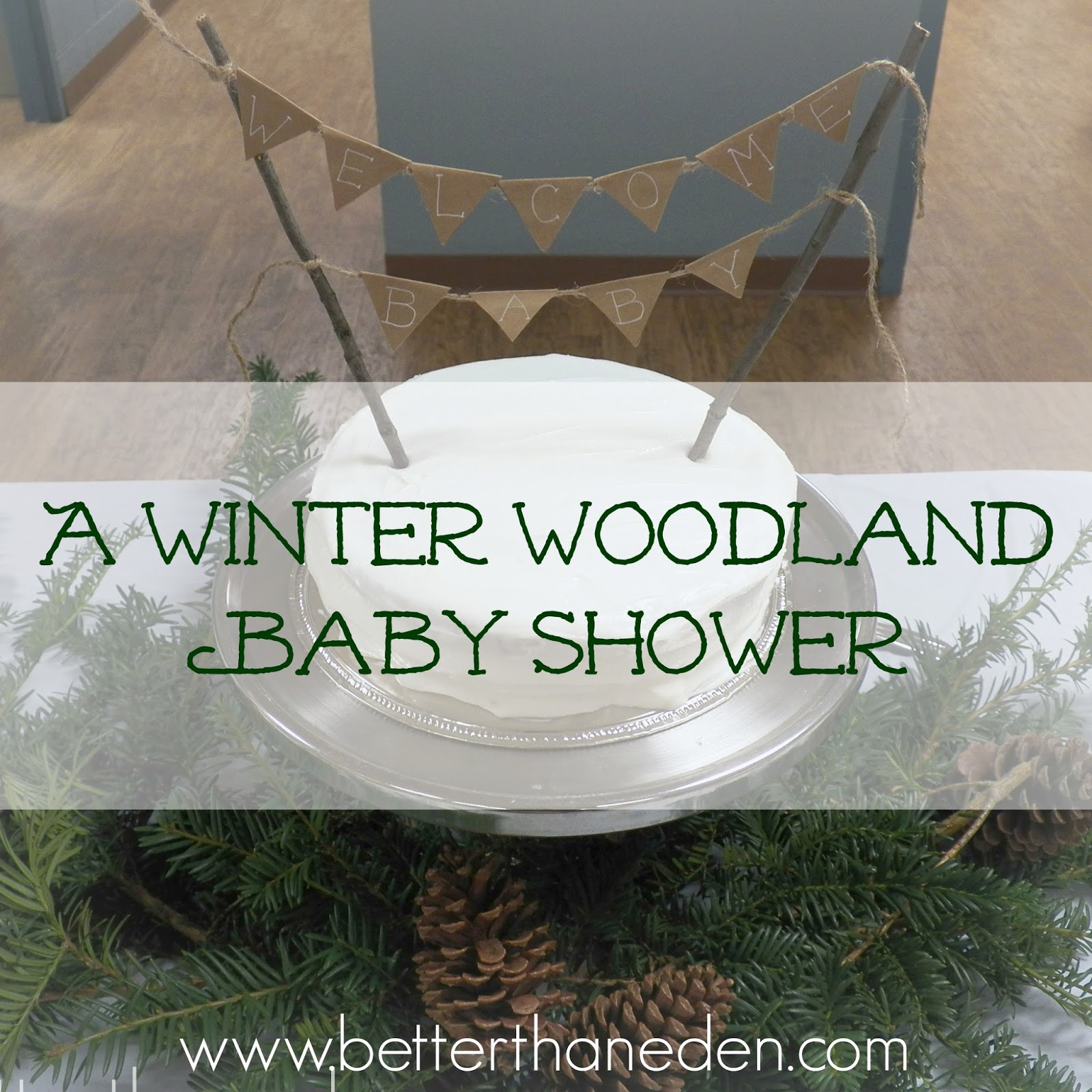 A Winter Woodland Baby Shower Mary Haseltine