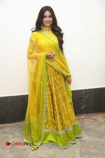 Actress Pallavi Subhash Stills in Yellow Dress at Naruda Donaruda Audio Launch  0164