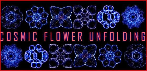 Cosmic Flower Unfolding Ben Ridgway animatedfilmreviews.filminspector.com
