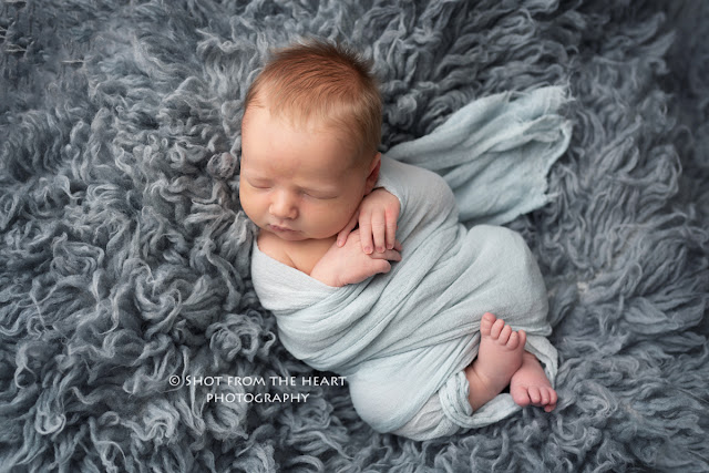 newborn boy posing on flokati in blue wrap