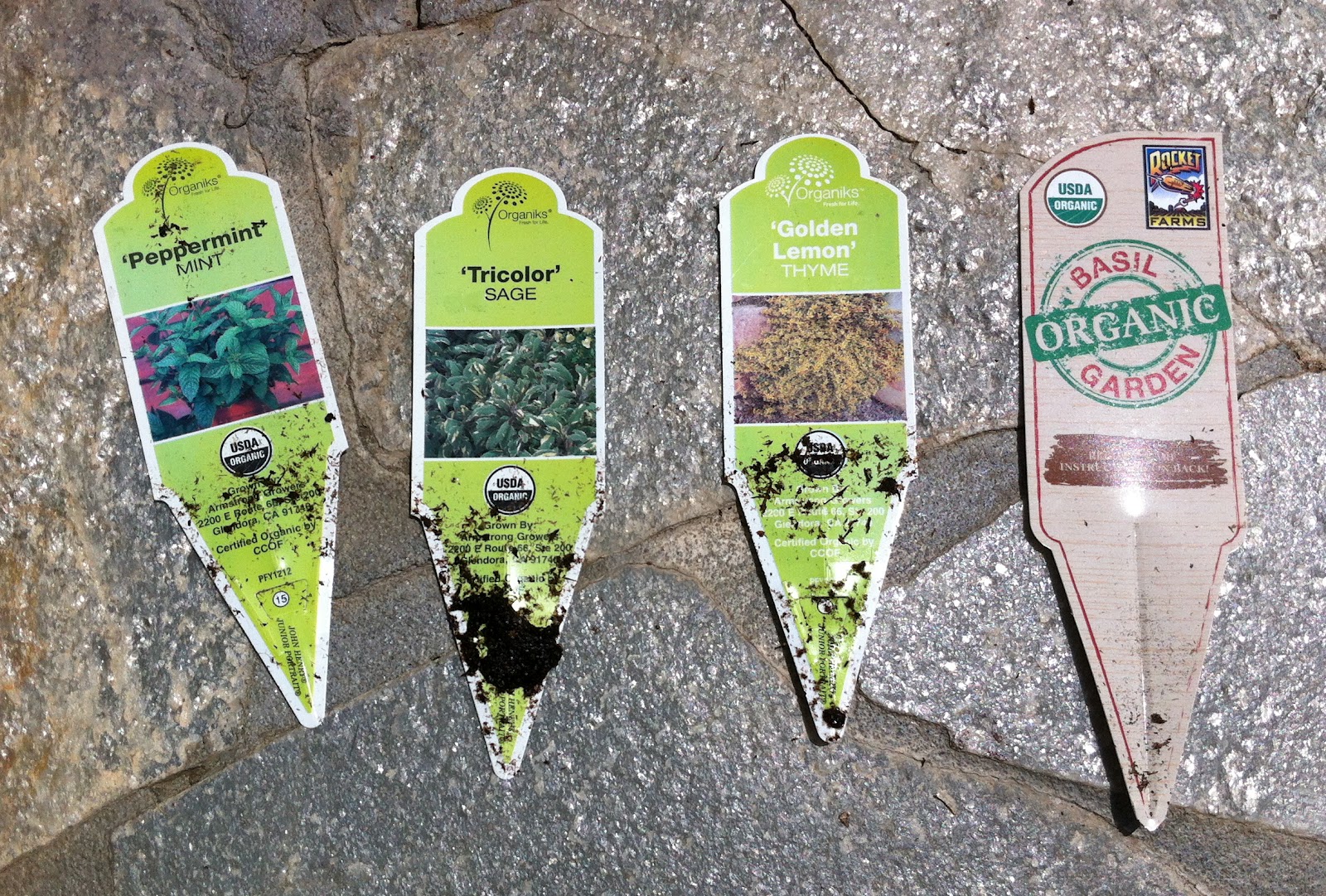 Nothing But Blue Skies...: Indoor Herb Container Garden - How To.