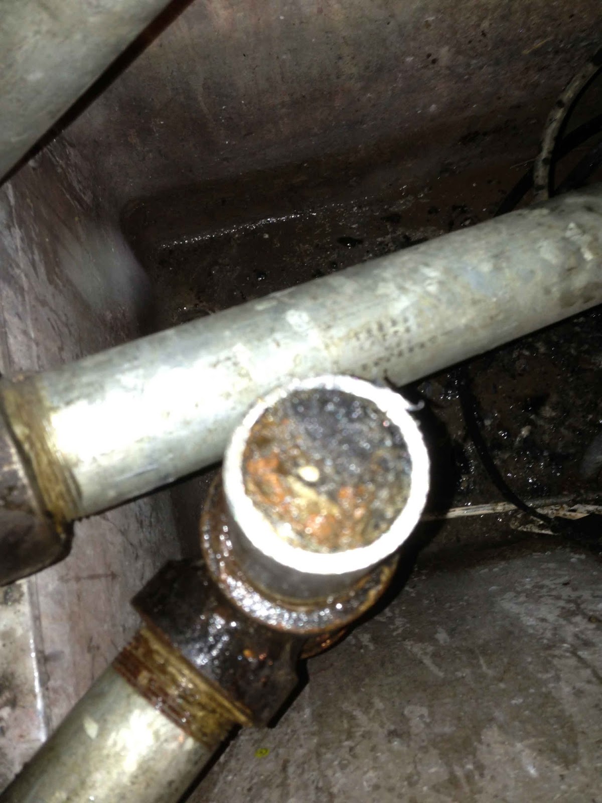 About Barkley Plumbing Drain Stoppage Bellingham WA