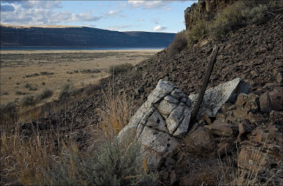 Ice-rafted erratic in the Grand Coulee.