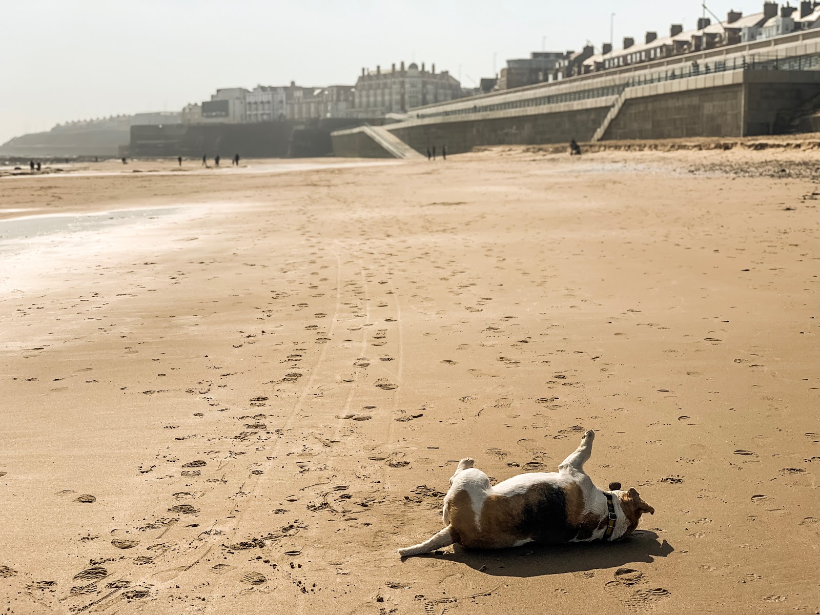 Whitley Bay Beach Tide Times Koplo Png