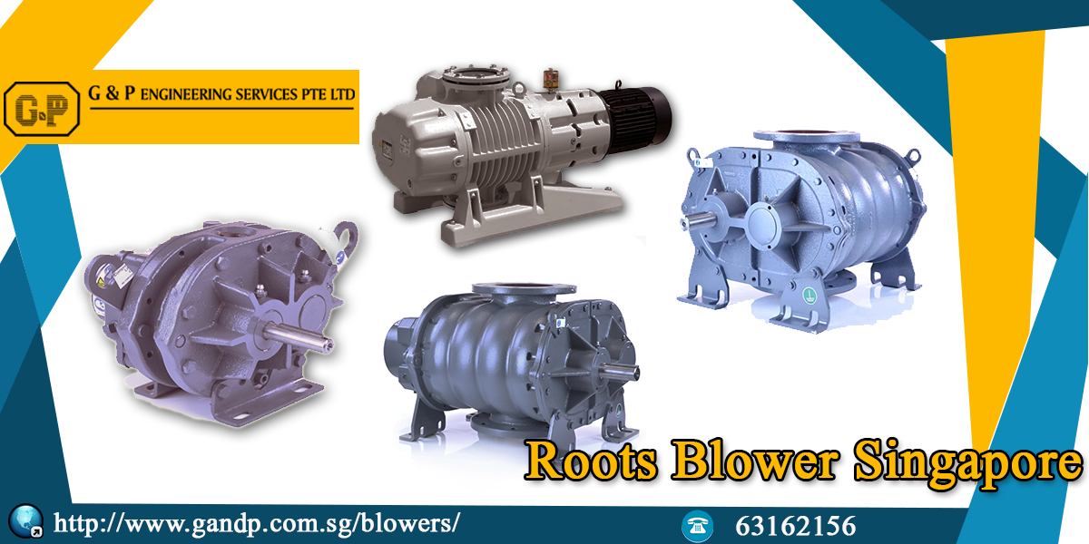 Providing No.1 Pumps of Chemical, Booster, Submersible, Multistage