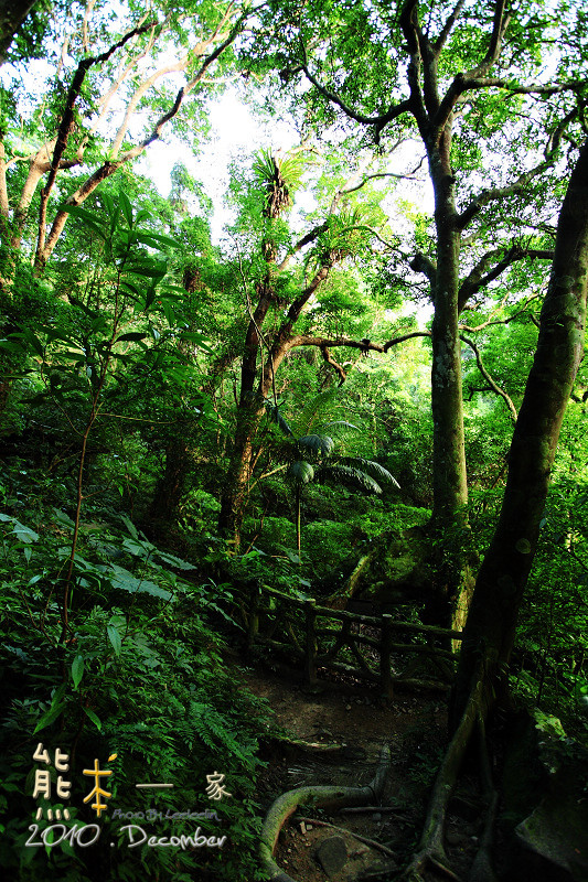 三峽溫泉旅館|大板根森林溫泉渡假村|新北市大板根森林|三峽露天溫泉