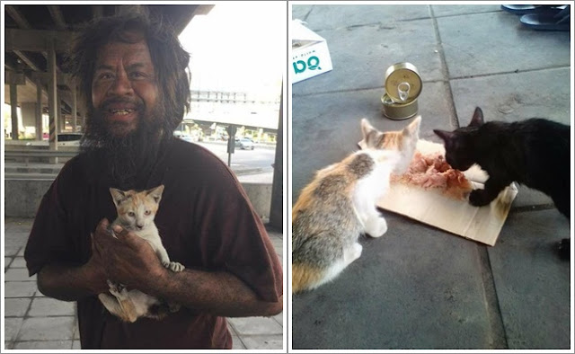 MasyaAllah, Tunawisma ini Jualan Jeruk Buat Beli Makanan Kucing Liar, Kisahnya Buat... MasyaAllah, Tunawisma ini Jualan Jeruk Buat Beli Makanan Kucing Liar, Kisahnya Buat...