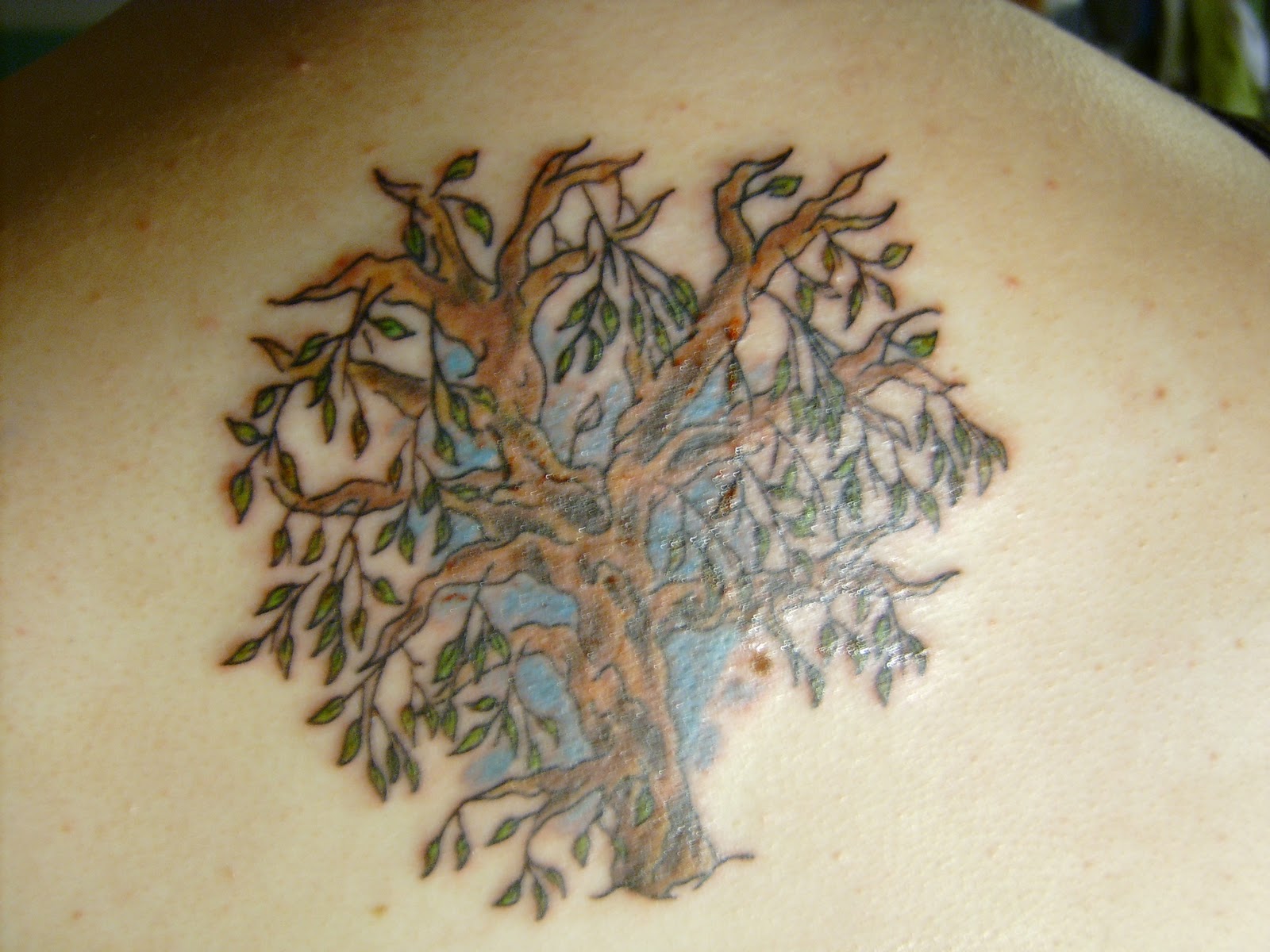 Grape Tattoos I even have a tattoo of a tree
