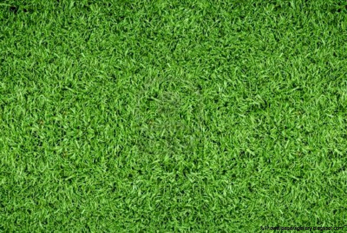 Football Field Wallpapers   Wallpaper Cave