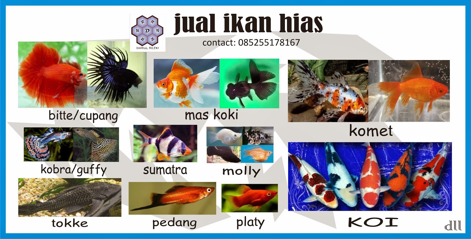 42+ Spanduk Jual Ikan Hias