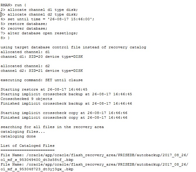 David s logger oracle data recovery advisor