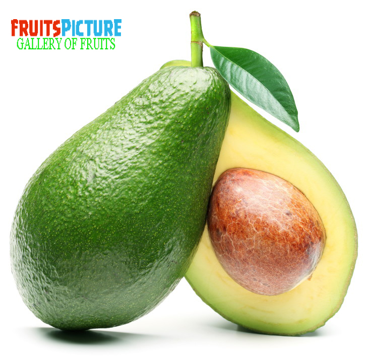 Picture of Avocado Fruits Picture Fruits Picture
