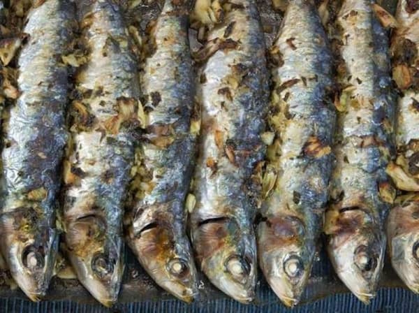 Sardinas al Horno Sardinas al Horno