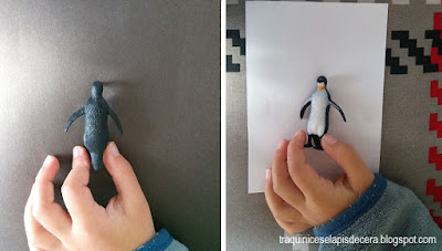 Porque é que os pinguins são pretos e brancos Porque é que os pinguins são pretos e brancos