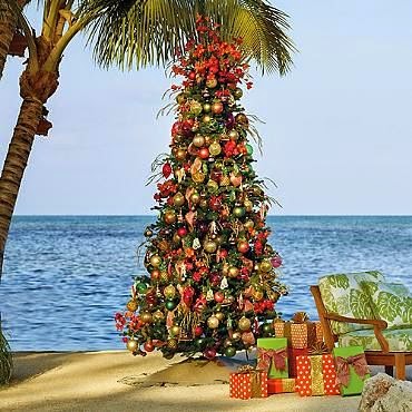Everything Coastal: Tropical for Christmas