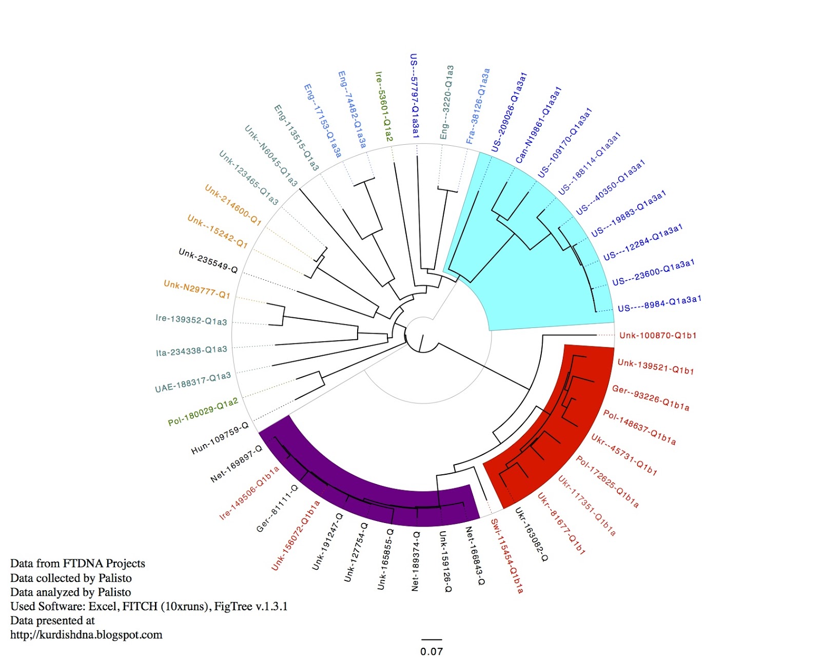 KurdishDNA Haplogroup Q STR111 tree