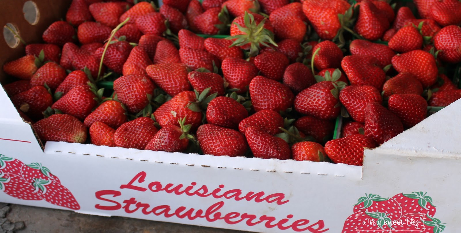 Ponchatoula Strawberry Festival A Berry Good Time! A Very Sweet Blog