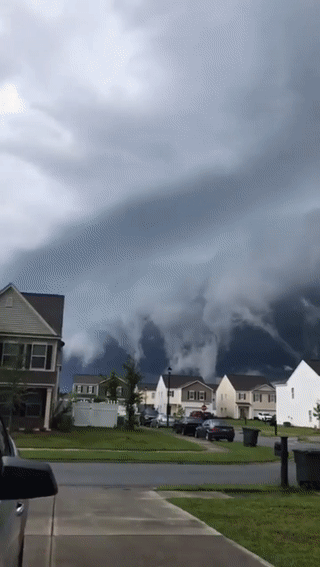1504780215268982939.gif