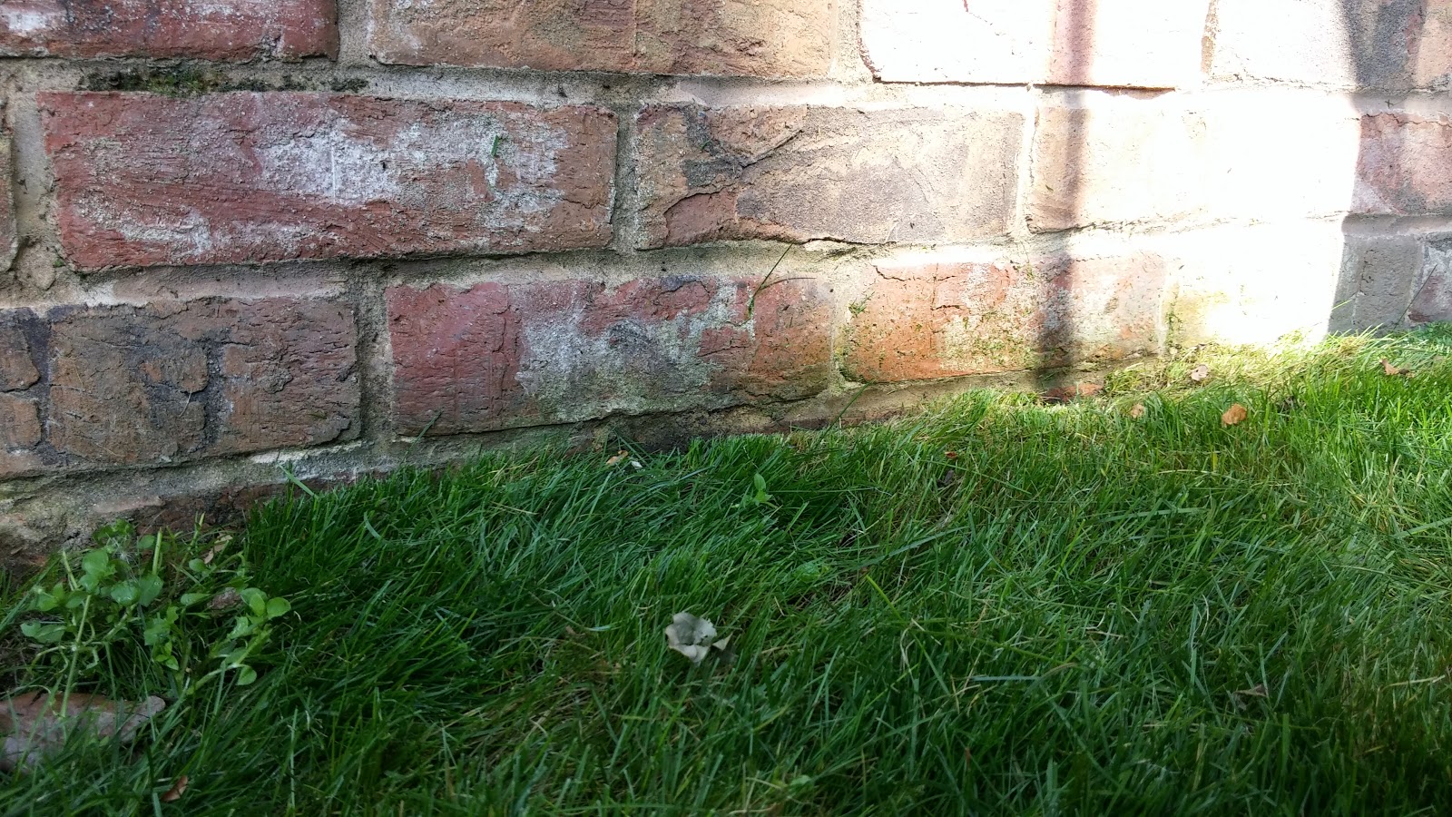 Review Gtech cordless strimmer This day I love.......