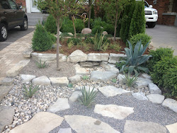 maintenance low landscaping desert tropical shade very gardens planting