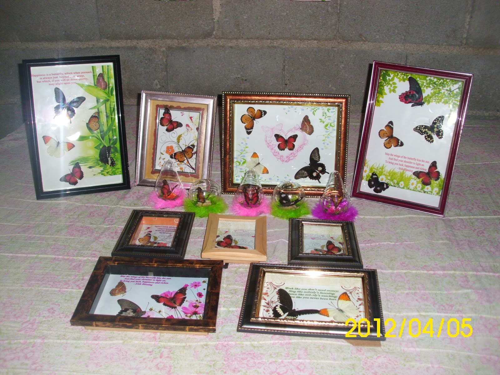 Butterfly Release for Wedding/Occasions Butterfly Souvenir Crystal