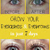 How to make your eyelashes & eyebrows Grow fast in just 7 days