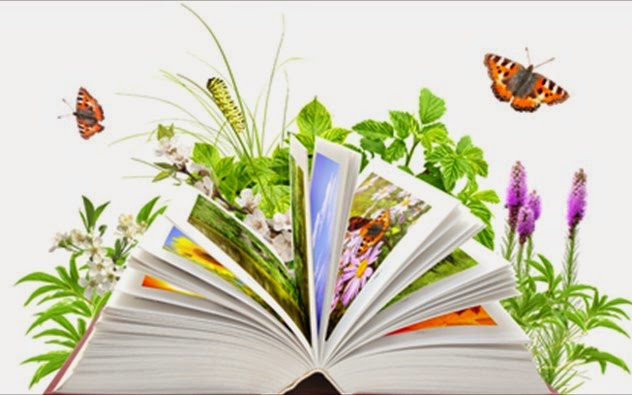 Book and Copyright Day