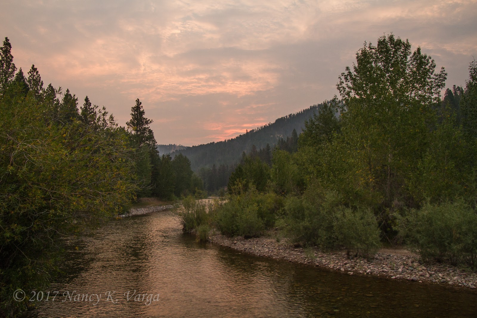 Raven Travels 2017 LINCOLN, MONTANA II