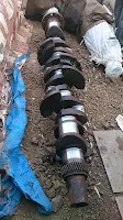 Yanmar S 185, used crankshaft for sale