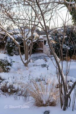 Ein schöner Garten im Winter - Gartentips zu Gartenplanung. 