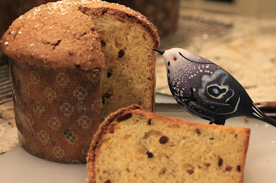 A slice of panettone