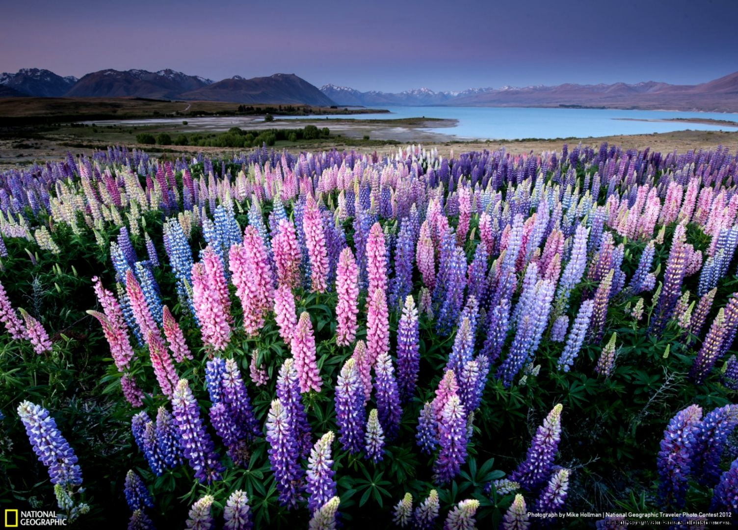 Lake Tekapo New Zealand