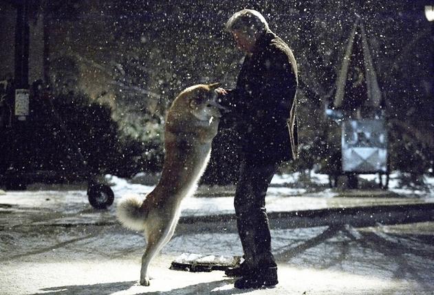 My World: Hachi :)